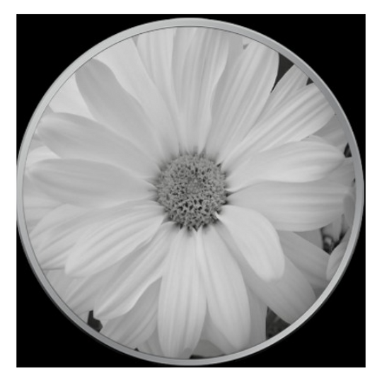 Daisy 1g .999 Colored Silver Round in Capsule - 320 Coins