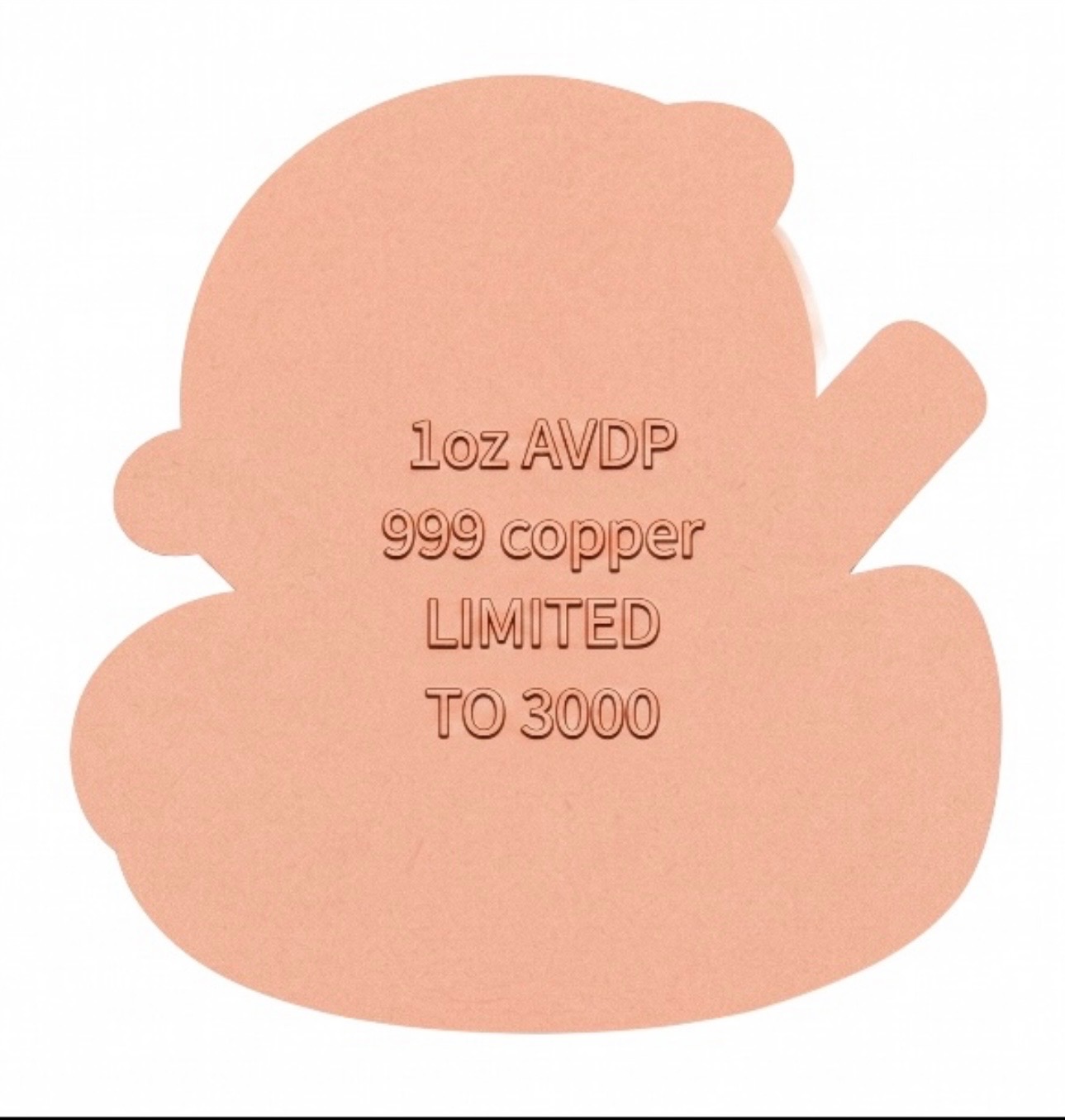 Ninja Duck — copper coin product photo