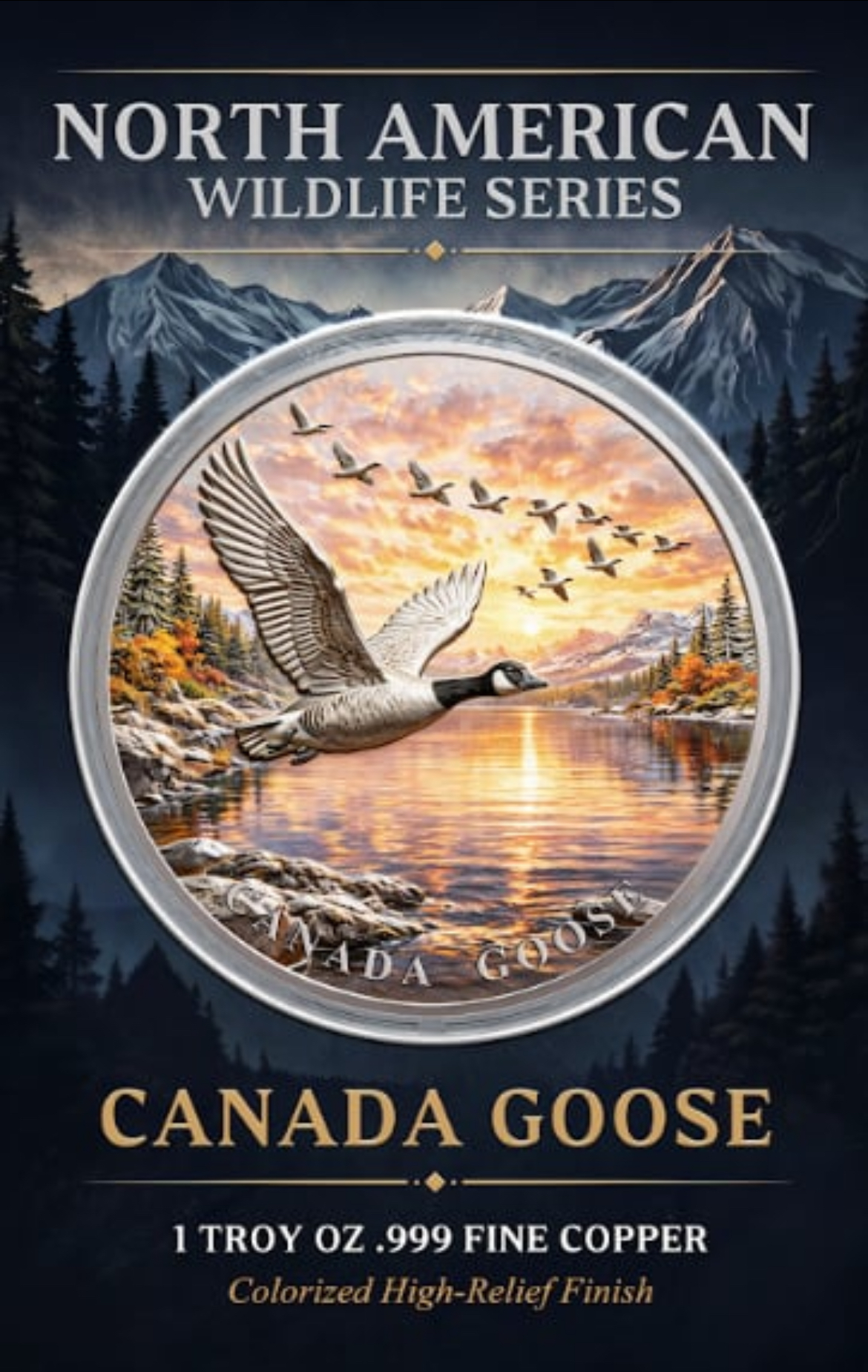 North American Wildlife - Canada Goose 1oz .999 Copper — copper coin product photo
