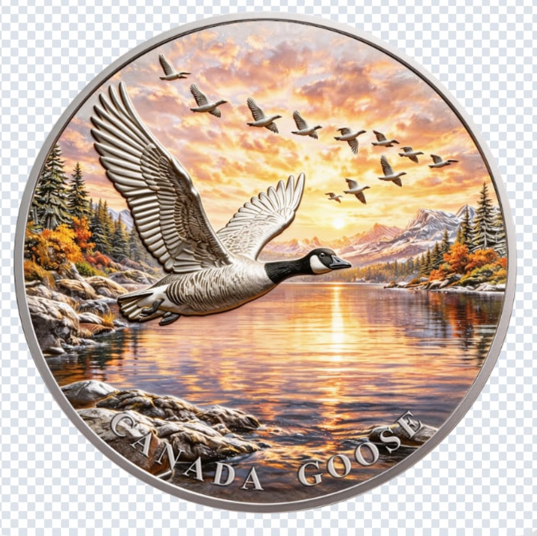 North American Wildlife - Canada Goose 1oz .999 Copper — copper coin product photo